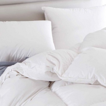 Pillows & Quilts